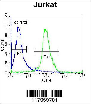 ELMO2 Antibody (Center)