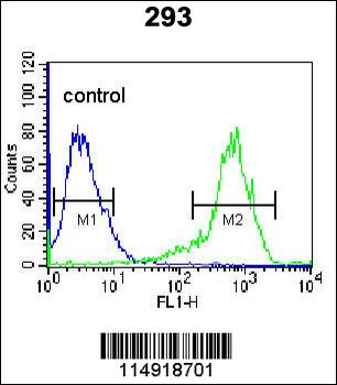 KARS Antibody (N-term)