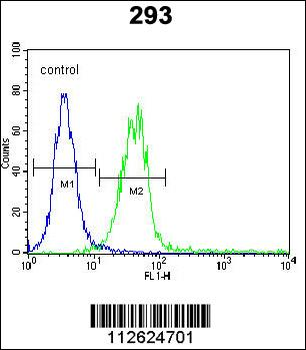 CLEC11A Antibody (Center)