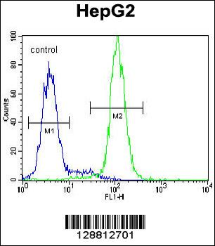 CST9 Antibody (C-term)