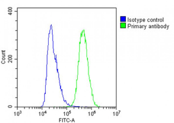 IFITM5 Antibody (Center)