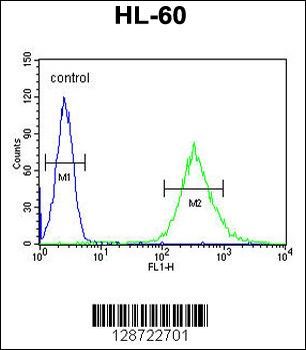 ENASE Antibody (Center)
