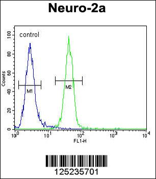 RT34 Antibody (N-term)