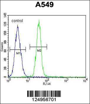 TDRD7 Antibody (C-term)