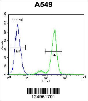 CE164 Antibody (N-term)