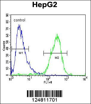ZC12A Antibody (Center)