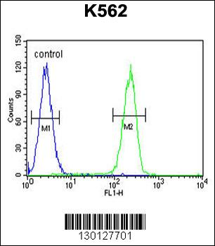 RPL27A Antibody (C-term)