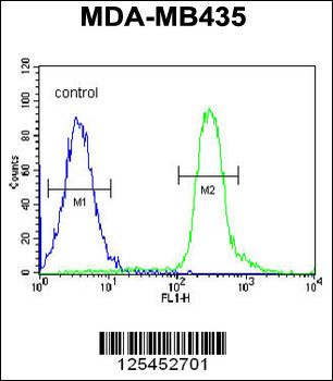 VPS52 Antibody (C-term)
