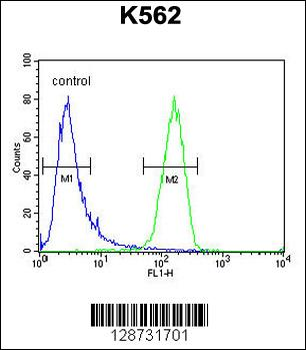 IQCJ Antibody (C-term)