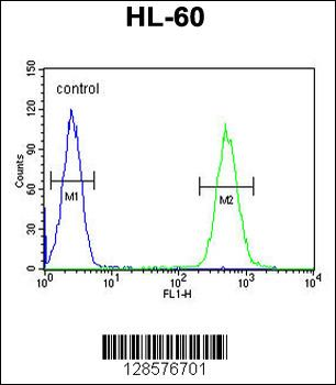 BTNL3 Antibody (C-term)
