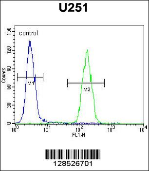 AMN1 Antibody (N-term)