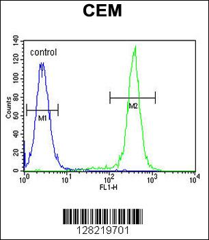 CCDC122 Antibody (C-term)