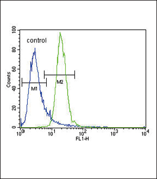 PRKAA2 (Thr172) Antibody (Center)