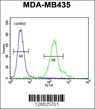 CU002 Antibody (C-term)