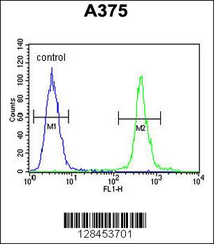 AL2SA Antibody (N-term)