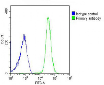 GSDMC Antibody (Center)