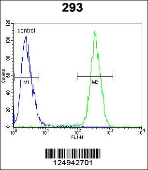 CLPX Antibody (C-term)