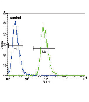 ETV5 Antibody (N-term)