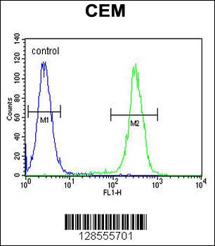 HIST1H2BJ Antibody (Center)