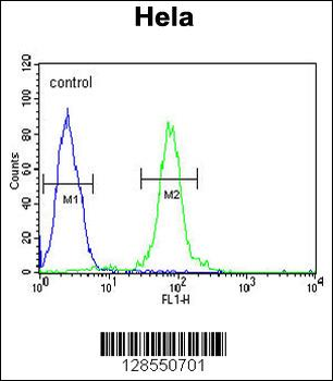FBXW8 Antibody (Center)
