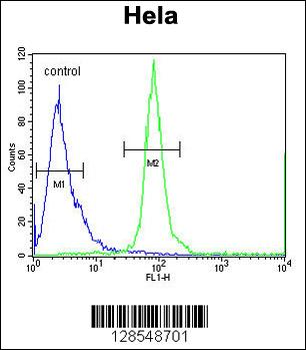 ESCO2 Antibody (Center)