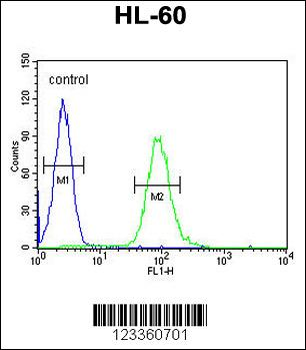 CSF2 Antibody (Center)