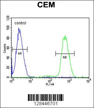 NFKBIL1 Antibody (Center)