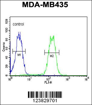 LYRM4 Antibody (Center)