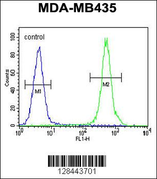 HP Antibody (Center)