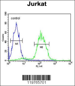 CD34 Antibody (Center)