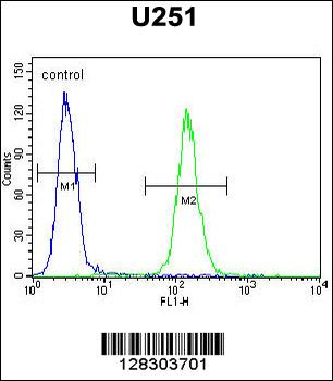 BHLHA15 Antibody (C-term)
