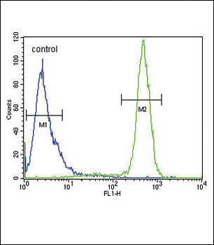 SCN1B Antibody (N-Term)