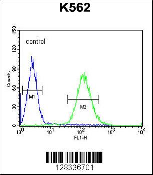 TEX9 Antibody (N-term)