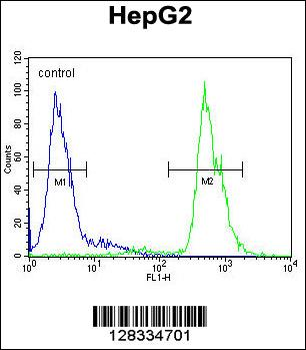 MAMSTR Antibody (N-term)