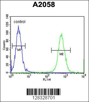 CCDC148 Antibody (Center)