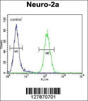 LCN10 Antibody (Center)