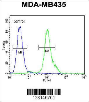 MYCT1 Antibody (C-term)