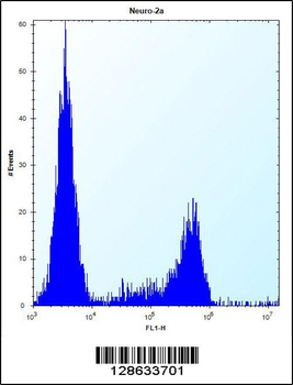 CASC4 Antibody (C-term)