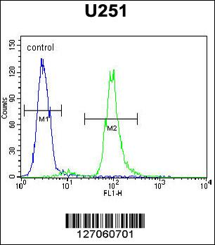 VITRN Antibody (C-term)