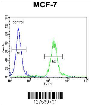 AVPI1 Antibody (N-term)