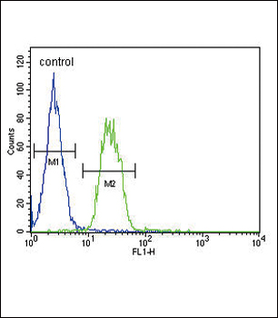 S6A12 Antibody (N-term)