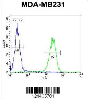 PRSS3 Antibody (N-term)