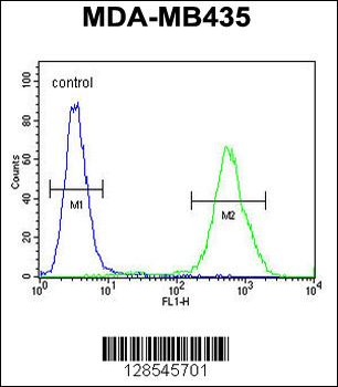 DEM1 Antibody (Center)