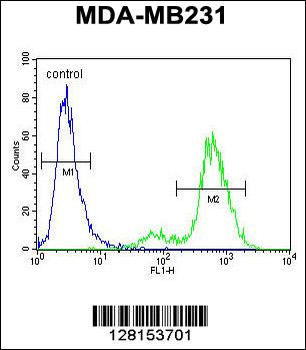 SYCE2 Antibody (N-term)