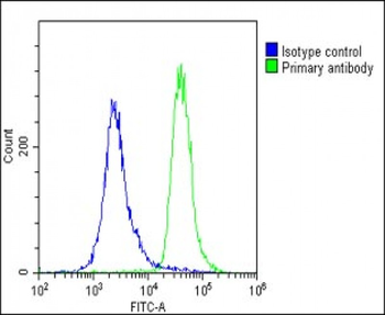 METTL4 Antibody (C-term)