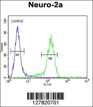 VWA3B Antibody (C-term)