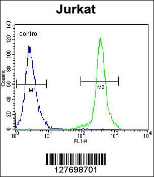 KLF14 Antibody (C-term)