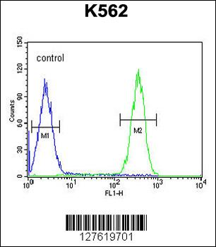 FBXW12 Antibody (C-term)