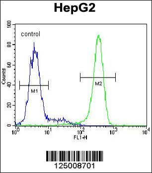 K0090 Antibody (C-term)