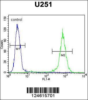 GGTLC2 Antibody (Center)